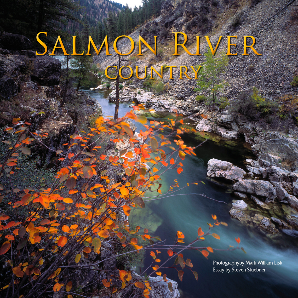 Salmon-Cover